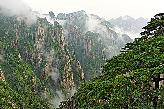 能让人暂时昏迷不醒的C1B8D97C5-18975